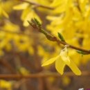 조금느린집 이미지