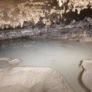 산호동100 이미지