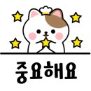 내꿈에 날개를 달다 이미지