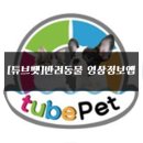 멍냥이그루밍