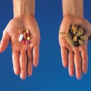 자연생명대체의학 이미지