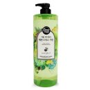 바디케어5 이미지