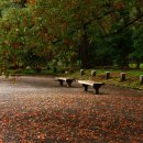 위메디팜 이미지