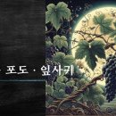 장만영, 달·포도·잎사귀 이미지