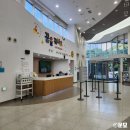 둥지나래어린이도서관 문화교실 | 주말 뭐하지! 5살+2살 아이랑 실내 체험 #화성어린이문화센터