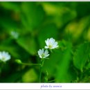 서울숲4 이미지