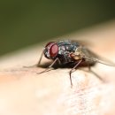 불철주야 이미지