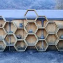 평창목토랑 협동조합 이미지