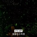 다맑음 이미지