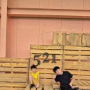 생태연못 | 생물도감 유튜버 521생태테마파크 세 번째 이야기 온실동 꿀벌, 참나무, 연못까지 다 담았어요