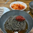 답십리 막국수 맛집 성천막국수 솔직후기 | 비빔막국수 + 제육 추천