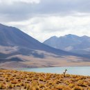 돌아가는삼겹살 이미지