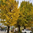 운악산의뜰 이미지