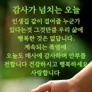 I can't stop loving you, fly me to the moon. 이미지