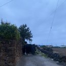 스테이 행원 이미지