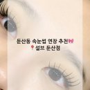 설브 둔산점 | 대전속눈썹연장 잘하는 곳, 설브 둔산점