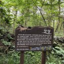 현성목장 이미지