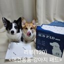 펫만찬 | (강아지 패드 추천)오드 강아지 패드 사용 후기
