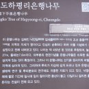 하평리 이미지