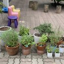 한양샛별유치원 이미지