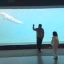 돌고래약품 이미지