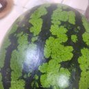 맹동경로당 이미지