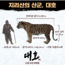대호