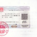 엘림행정사 이미지