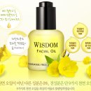 에코위즈덤