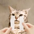 예인동물병원 이미지