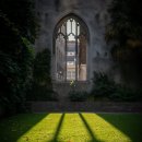 영어소설읽기 이미지