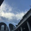 영천야구장 | 부산 사직야구장 3루 내야필드석A 313블럭 21열 직관후기