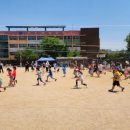 매화랜드 이미지