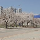 덕풍천동로 이미지