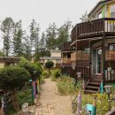 아침에 새소리 이미지