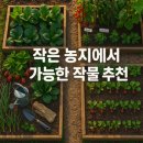 (주)농협유통 창동농산물종합유통센터 | 작은 농지에 적합한 고수익 작물 추천