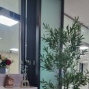 서귀포시니어클럽 이미지