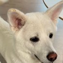 (주)화성써모 이미지