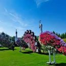 대우경남아파트.안성의료원 이미지