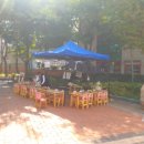 금봉어린이집 이미지