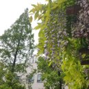 길주공원 이미지