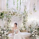 토브하우스 이미지