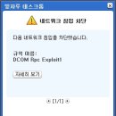 빛자루
