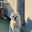 진상월드카센타 | Good-bye 2023! Hello 2024!!