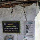 양림펭귄마을 협동조합 | 전라도 광주여행 가볼만한곳 양림동 펭귄 마을