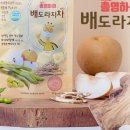 도라지컴퍼니