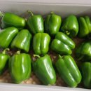 청파농장 이미지