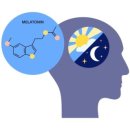 멜리우스 이미지