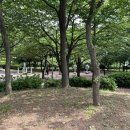 원적산체육공원 이미지