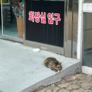 한교육타이거합기도장앞 | 고성 통일전망대 후기 | 출입신고소부터 통일전망타워까지, 6.25전쟁체험전시관 필수 코스